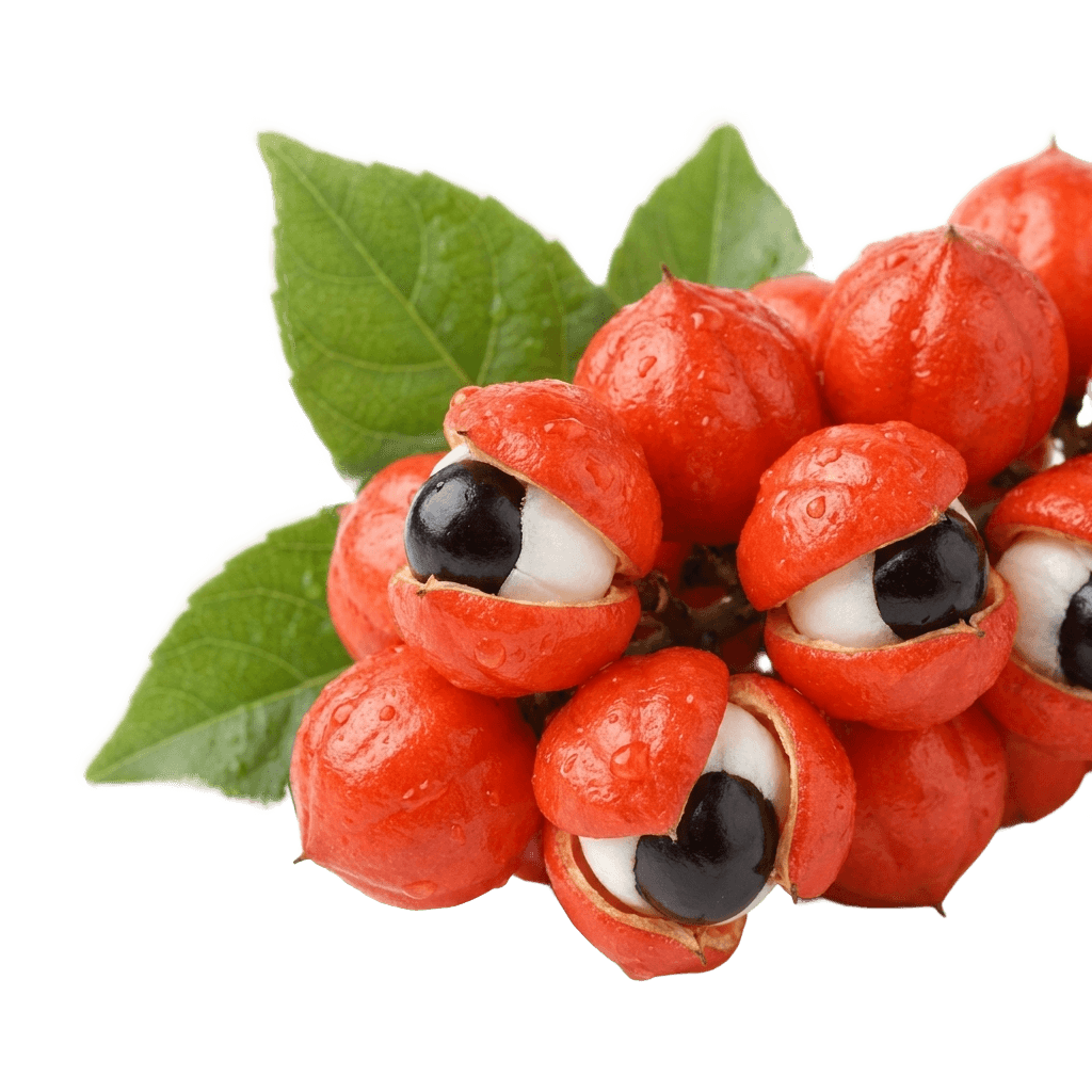 Guarana